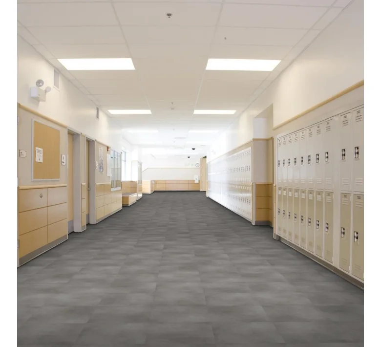 4385v_85520_school_corridor.jpg