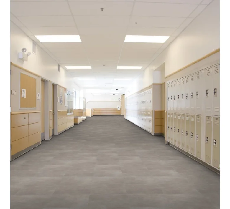 4386v_86504_school_corridor.jpg